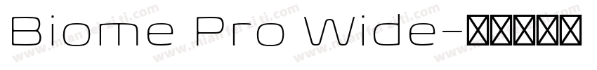 Biome Pro Wide字体转换